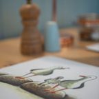 seagull-gifts-cornwall