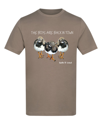 Turnstones - The Boys are back in town Unisex T Shirt Mocha