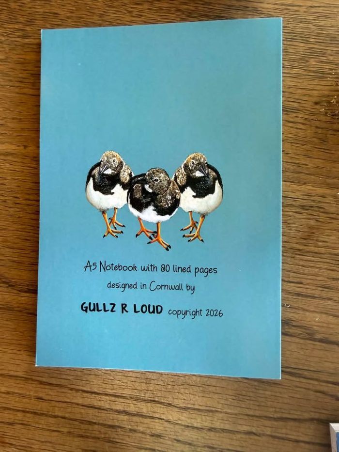 The Boys are BAck in Town Turnstones Notebook Back cover