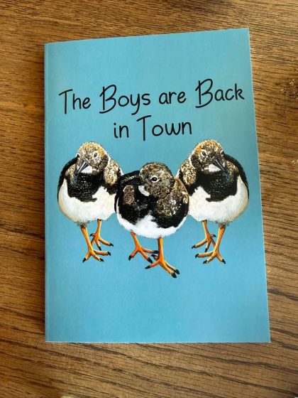 Boys are Back Turnstones Notebook